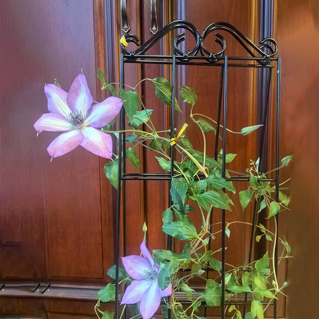 HASTHIP Metal Garden Trellis for Climbing Plants HASTHIP Metal Garden Trellis for Climbing Plants